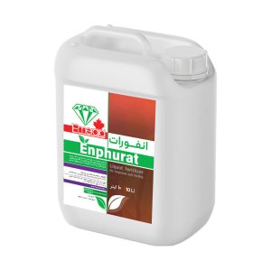 گالن 20 لیتری کود اسیدی انفورات امرالد برای اصلاح خاک شور و قلیایی